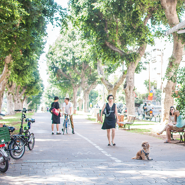 Ben-Zion-Blvd-Tel-Aviv-city-that-never-sleeps